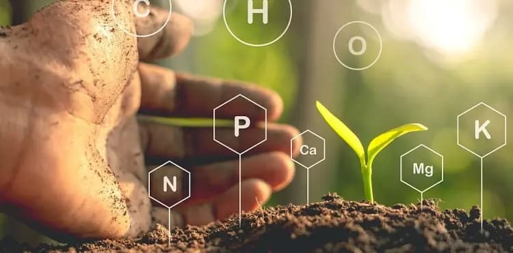 Фитомодуляторы и органо-минеральные комплексы