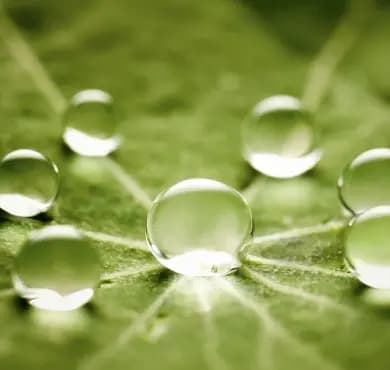 Вспомогательные компоненты