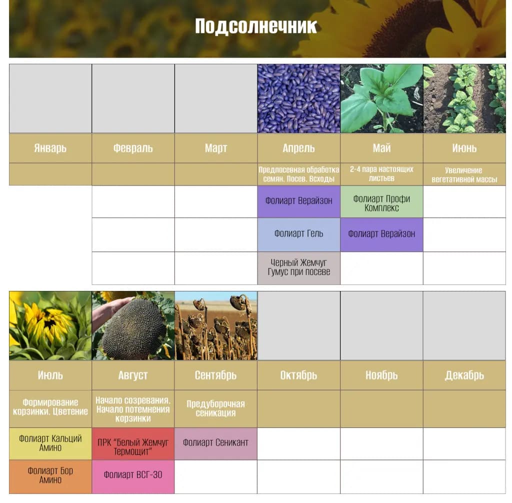 Подсолнечник