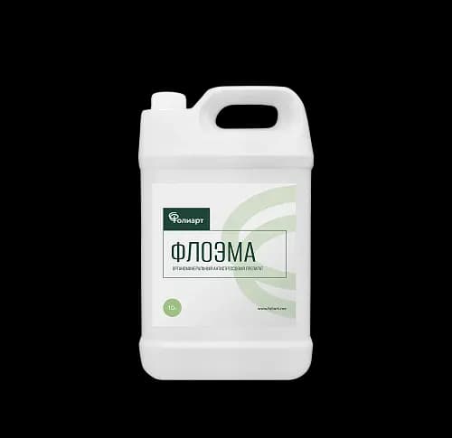 ФЛОЭМА