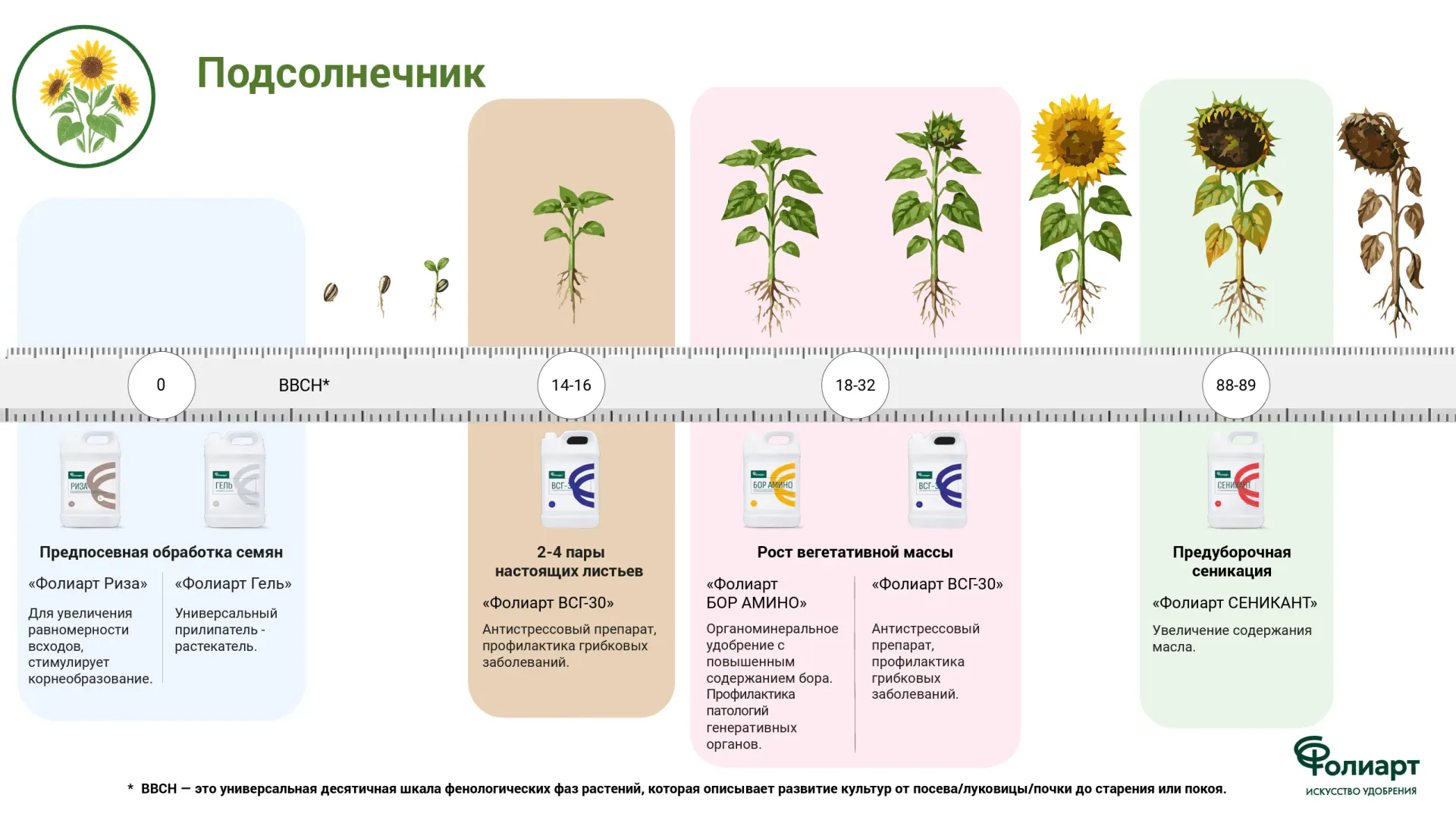 Подсолнечник